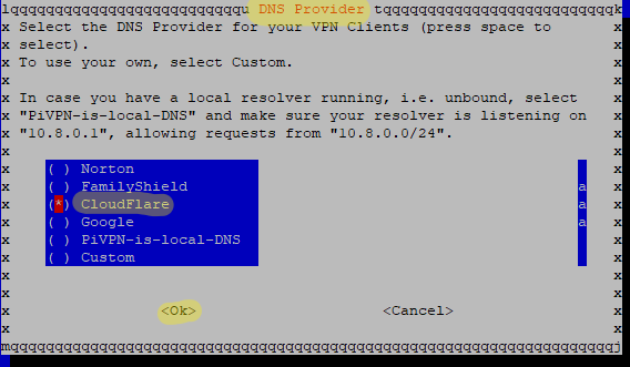 Abb.: Benutzerdefinierter DNS-Server, hier: Cloudflare