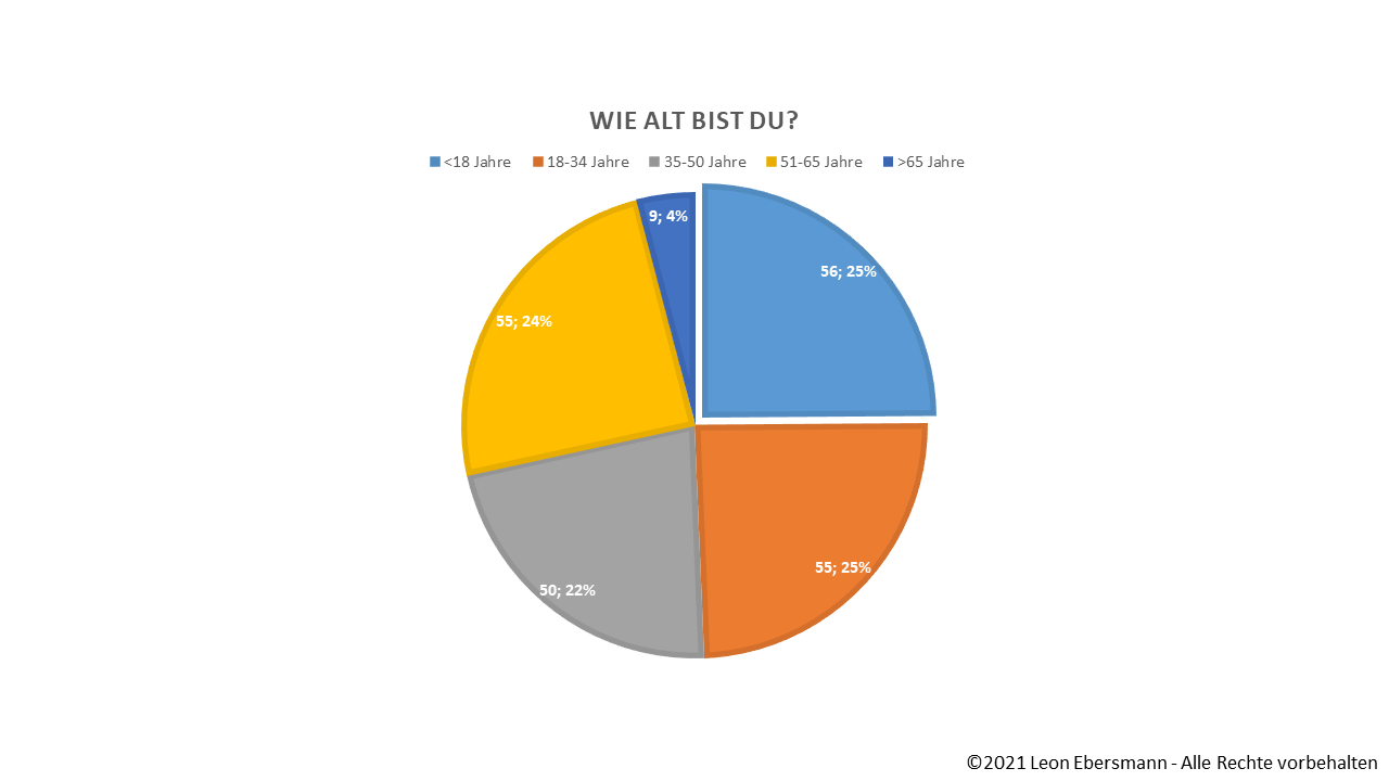 Infografik 1 – Umfrageergebnisse: Wie alt bist Du?