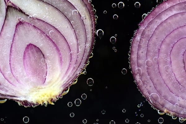 Symbolbild: TOR - The Onion Router